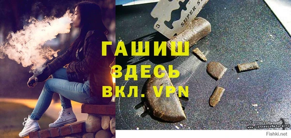 молекула духа Богородицк