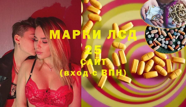 таблы Бородино