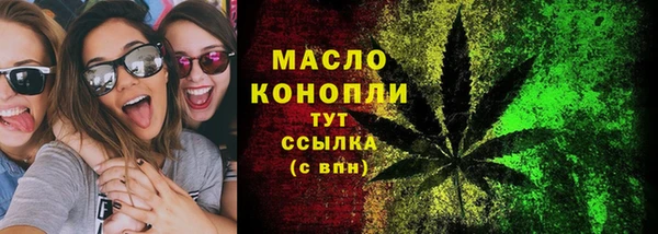 молекула духа Богородицк