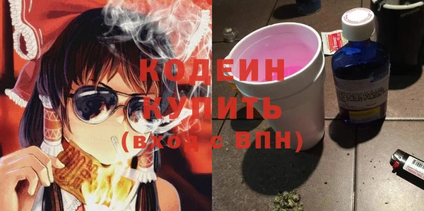 молекула духа Богородицк