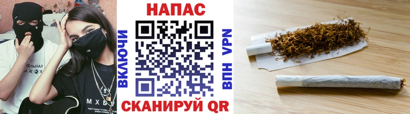 ссылка на мегу сайт  Старица  Шишки марихуана OG Kush  где купить наркоту 